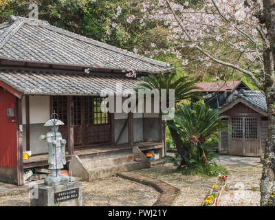 Daishi - Tempel, mit Statue der Kobo Daishi und blühenden Kirschbaum Sakura Blossom, Kuroshio, Kohi, Japan Stockfoto