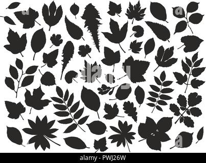 Satz Blätter und Gras. Natur Konzept. Silhouette Vector Illustration Stock Vektor