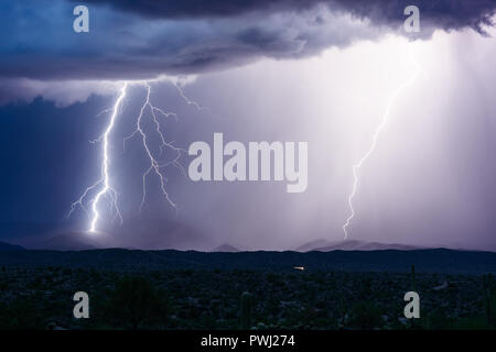 Dramatische Blitzschläge treffen einen Berg während eines Sturms in der Wildnis von Four Peaks in der Nähe von Phoenix, Arizona, USA Stockfoto