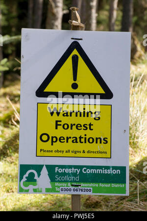 Forstwirtschaft in Clashindarroch Wald., in der Nähe von Huntly, Aberdeenshire. Stockfoto