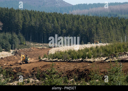 Forstverwaltung Betrieb in Clashindarroch Wald in der Nähe von Huntly, Aberdeenshire. Stockfoto