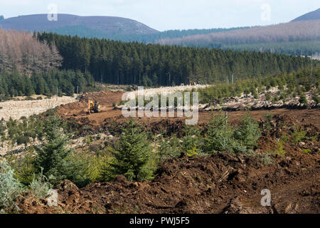 Forstverwaltung Betrieb in Clashindarroch Wald in der Nähe von Huntly, Aberdeenshire. Stockfoto