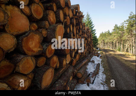 Forstverwaltung Betrieb in Clashindarroch Wald in der Nähe von Huntly, Aberdeenshire. Stockfoto