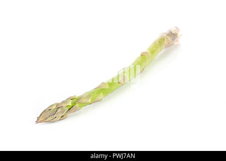 Einen ganzen frischen grünen Spargel Speer auf weißem Hintergrund Stockfoto
