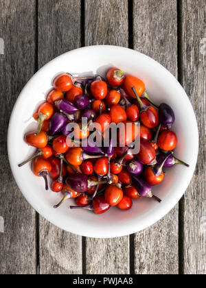 Eine Schüssel mit Rainbow Chili Peppers Stockfoto