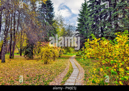 Gehweg im Herbst Stadtpark mit bunten Laub von Nadel- und Laubbäumen und Sträuchern. Schönen Herbst Natur Landschaft auf sonnigen Oktober Stockfoto