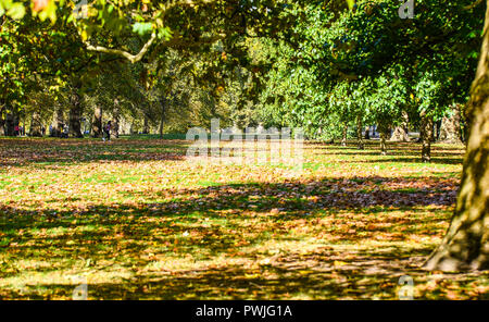 Herbstfarben im Hyde Park, London, Großbritannien. Herbstfarben. Gefallene Blätter. Bäume Stockfoto