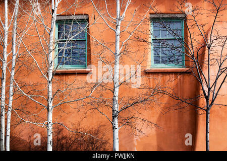 Grüne Windows von Aspen Bäume in Santa Fe, New Mexico bewacht Stockfoto