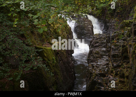 Wasserfall an der Eremitage, Dunkeld. Stockfoto