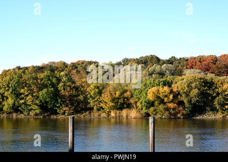 Herbst Wasser Getue Bäume Sonne Stockfoto