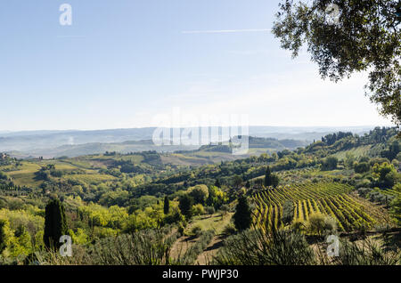 Grüne Hügel Landschaft durch das Dorf San Gimignano in der Toskana, Italien Stockfoto