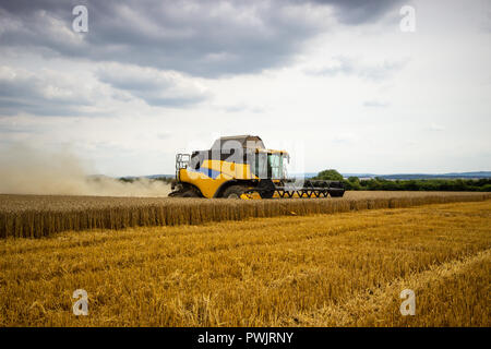 Große gelbe Mähdrescher schneidet das Feld Struktur. Landwirtschaft in vollem Gange. Stockfoto