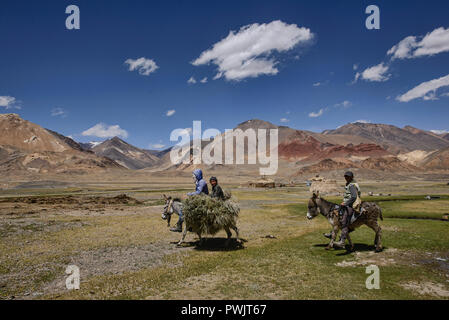 Kirgisischen Nomaden in den Pshart Tal, Tadschikistan Stockfoto