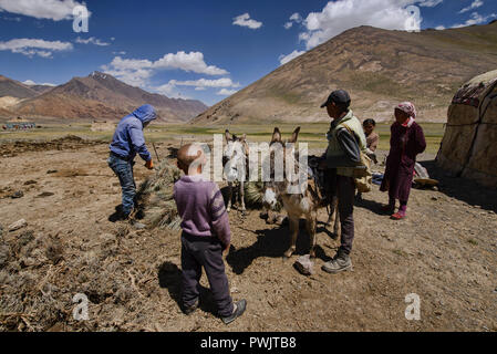 Kirgisischen Nomaden in den Pshart Tal, Tadschikistan Stockfoto