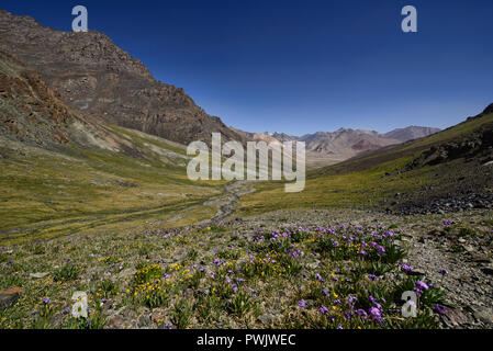 Trekking zu den Gumbezjikul Pass, Pshart Tal, Murghab, Tadschikistan Stockfoto