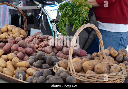 Körbe mit Kartoffeln auf einem Bauernmarkt in New Mexiko. Stockfoto