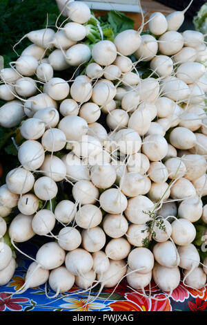 Tokio Rüben zum Verkauf zu einem Bauernmarkt in Santa Fe, New Mexico Stockfoto