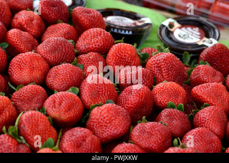 Erdbeeren zum Verkauf an einer im Bauernmarkt in San Francisco, Kalifornien. Stockfoto