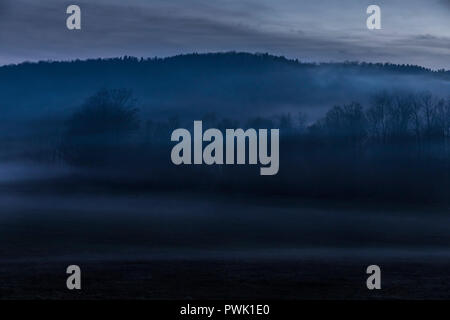 Nebel geistert durch die Landschaft während einer warmen Winter Abend in Jenksville, NY. Stockfoto