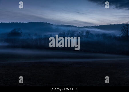 Nebel geistert durch die Landschaft während einer warmen Winter Abend in Jenksville, NY. Stockfoto