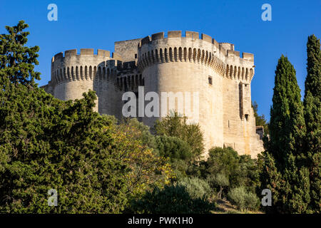 Fort Saint Andre ist bemerkenswert für seine Erhaltung, sitzt die eindrucksvoll an der Spitze Berg Andaon, oberhalb der Rhône. Die Site wurde bereits Stockfoto