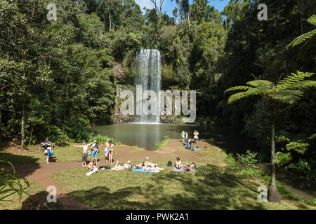 Millaa Millaa, Queensland, Australien. Leute genießen Millaa Millaa Millaa Millaa Wasserfälle in der nähe von Atherton Tablelands im tropischen Norden Queeensland. Stockfoto