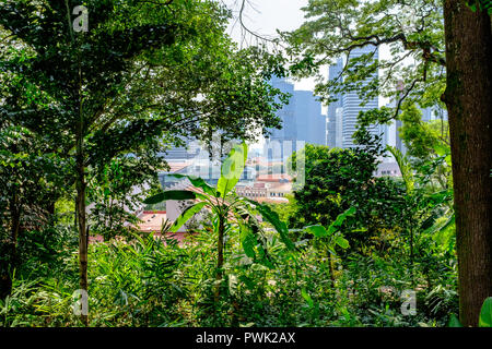 Blick auf Singapur central business district durch üppige tropische Vegetation des historischen kolonialen Fort Canning Park Stockfoto