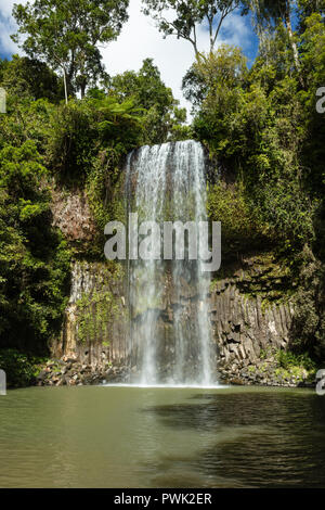 Millaa Millaa, Queensland, Australien. Millaa Millaa Millaa Millaa Wasserfälle in der nähe von Atherton Tablelands im tropischen Norden Queeensland. Stockfoto