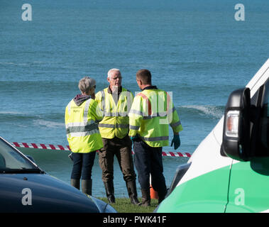 Newquay, Cornwall, England. 16. Oktober, 2018. Verschmutzung im Premier surfen Lage in Großbritannien. Abwässer aus einer Störung an der Südwestlichen Gewässer Fistral Süden Pumpstation floss über Pentire öffentliches Grün waschen Teil der Klippe entfernt vor der Einmündung in den Ozean bei Fistral Beach, Umwelt Gruppe Surfer gegen Abwasser beraten 48 Stunden, bevor sie in das Wasser. Credit: Robert Taylor/Alamy leben Nachrichten Stockfoto