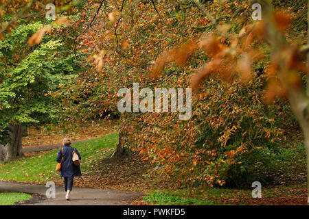 Battersea Park, London. 17. Okt 2018. UK Wetter: Eine Frau geht unter die bunten Blätter im Herbst in Battersea Park in London, Mittwoch, 17. Oktober 2018. Foto: © Lukas MacGregor Credit: Lukas MacGregor/Alamy leben Nachrichten Stockfoto