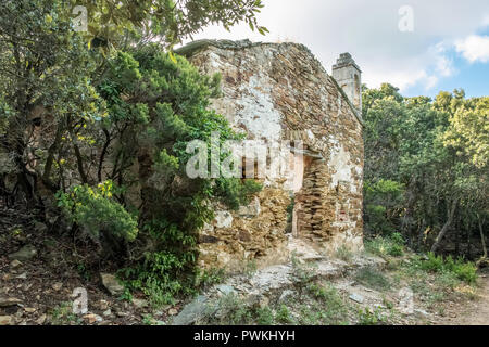 Ein heruntergekommenes und kleine steinerne Kapelle im Wald in der Nähe von Granaggiolo in Cap Corse in Korsika verlassen Stockfoto