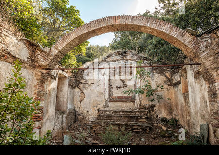 Innenraum eines verfallenen und verlassenen kleinen Stein Kapelle im Wald in der Nähe von Granaggiolo in Cap Corse in Korsika Stockfoto