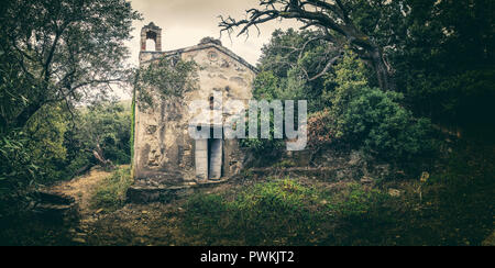 Haltestelle St. Roch Kapelle, ein heruntergekommenes und kleine steinerne Kapelle im Wald in der Nähe von Cocinco in Cap Corse in Korsika verlassen Stockfoto