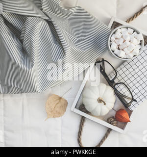 Kreative, oben flach Sill-life Herbst Komposition. Heißer Kakao Kaffee Schokolade mit Marshmallows Becher Kürbisse Gläser Fach im Bett. Platz Konzept Stockfoto