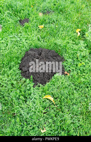 Frisch gegraben, Rasen und Boden in Kugel Kelle innerhalb einer