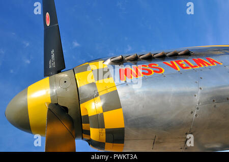 Die nordamerikanische P-51 Mustang heißt Miss Velma mit einer Schachbrettnase unter blauem Himmel. Kampfflugzeug aus dem Zweiten Weltkrieg Stockfoto