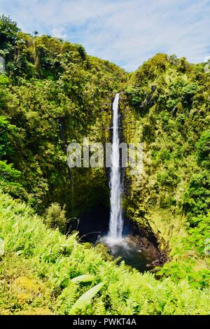 "Akaka Falls in "Akaka fallen State Park Hawai'i Stockfoto