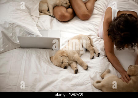 Zwei Frauen spielen mit einer kleinen Gruppe von Welpen beim Knien auf dem Bett. Stockfoto