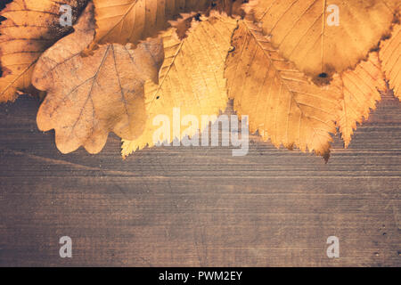 Dirty grunge Herbst gelb Laub über Holztisch mit Kopie Raum, Flach, straff Foto Stockfoto