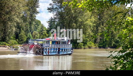 Raddampfer auf der Fraser River in Abbotsford British Columbia Kanada Stockfoto