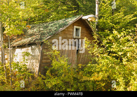Alten Schuppen im Wald Stockfoto