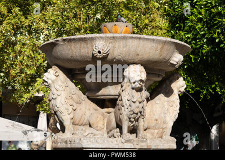 Die Löwen in Heraklion ist der Platz der Fontana Morosini, der venezianischen Brunnen mit vier Löwen mit Wasser sprudeln aus ihrem Mund. Stockfoto