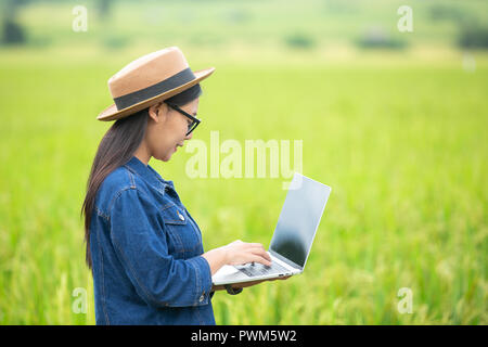 Bauer Frau reis plantage Kontrolle der Qualität. Konzept des smart Landwirtschaft und moderne Technik Stockfoto