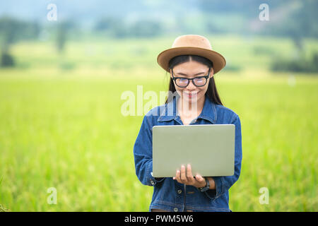 Bauer Frau reis plantage Kontrolle der Qualität. Konzept des smart Landwirtschaft und moderne Technik Stockfoto