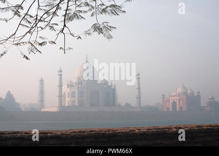 Taj Mahal die Wunder der Welt und der Stolz von Indien im Winter morgen weichen warmen Licht mit Dunst und mit Zweigen in den Vordergrund gerahmt Stockfoto
