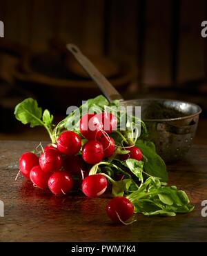 Radieschen vor einem alten Küche Sieb Stockfoto