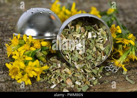 Getrocknete goldrute Teeblätter in einem Tee Ball und frischen Blumen Stockfoto