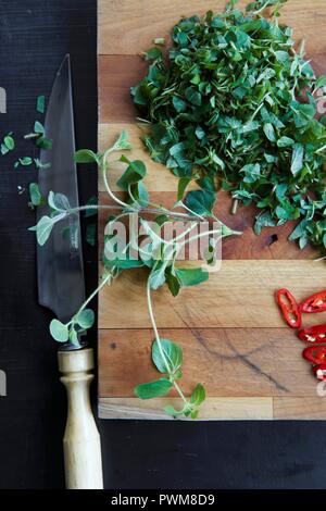 Oregano und Chili peppers auf einem Schneidebrett (Zutaten für chimi churri) Stockfoto