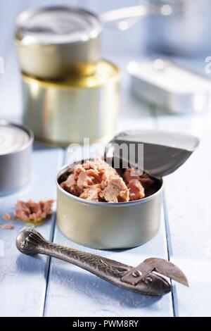 Eine Dose Thunfisch Stockfoto