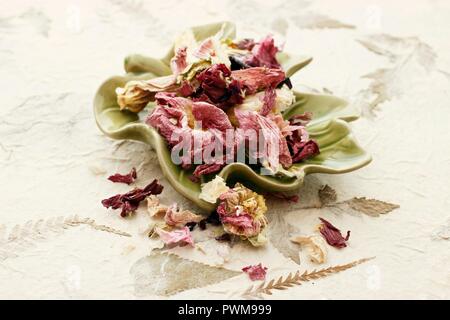 Getrockneten okra Blumen in einem Blatt-förmigen Schale Stockfoto